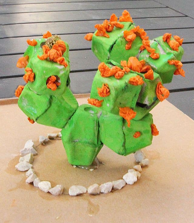 Recycled Cactus Egg Carton Crafts