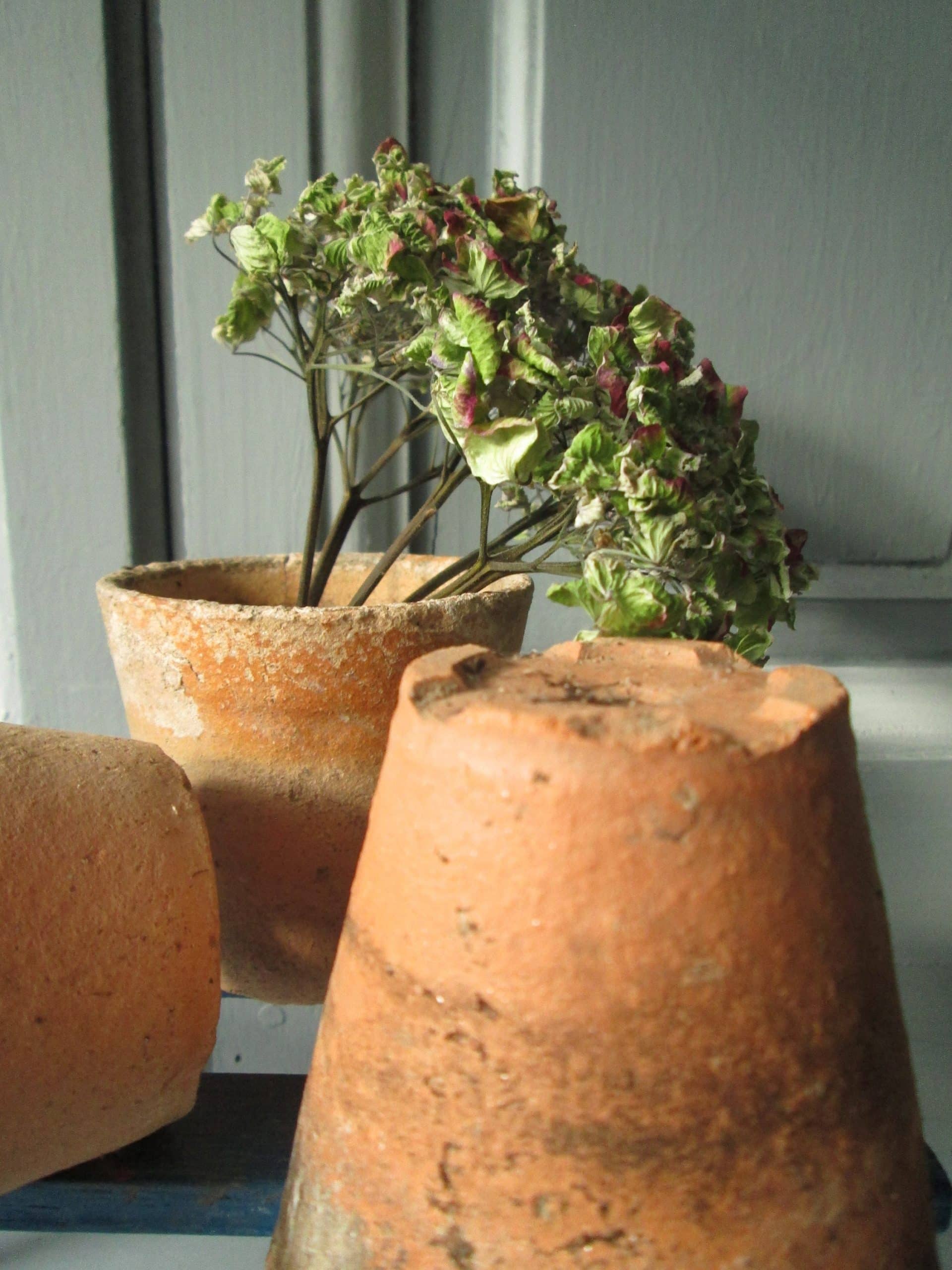 Recycled Flowerpot