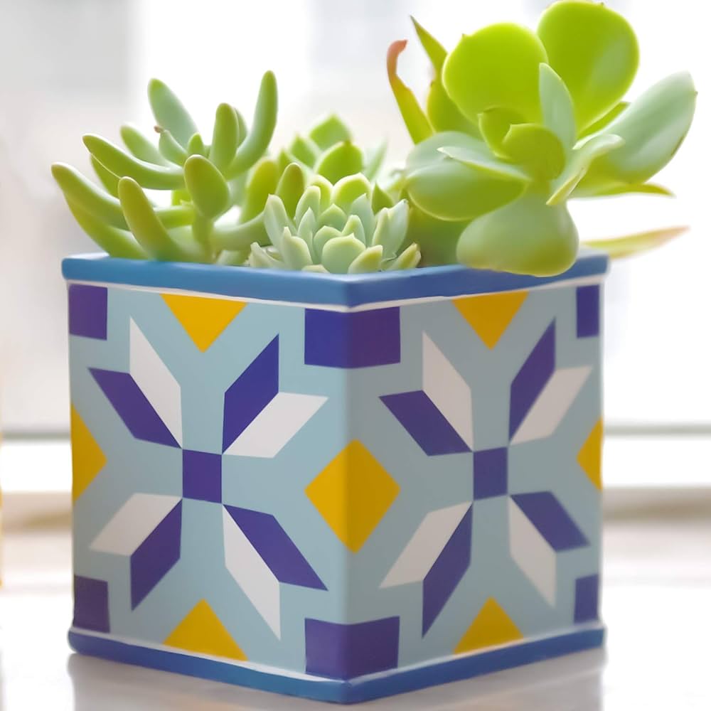 Square Pots for Plants