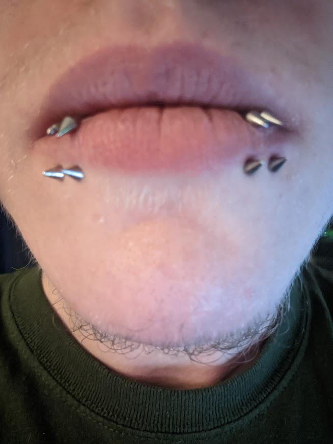 Shark Bites Piercing