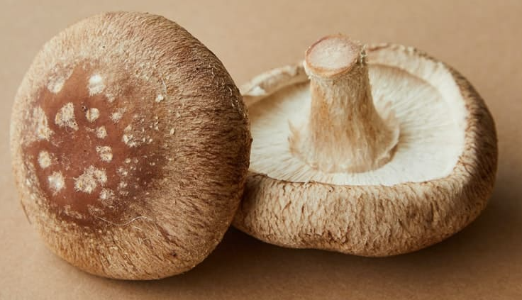 Mushrooms (portobello, shiitake)