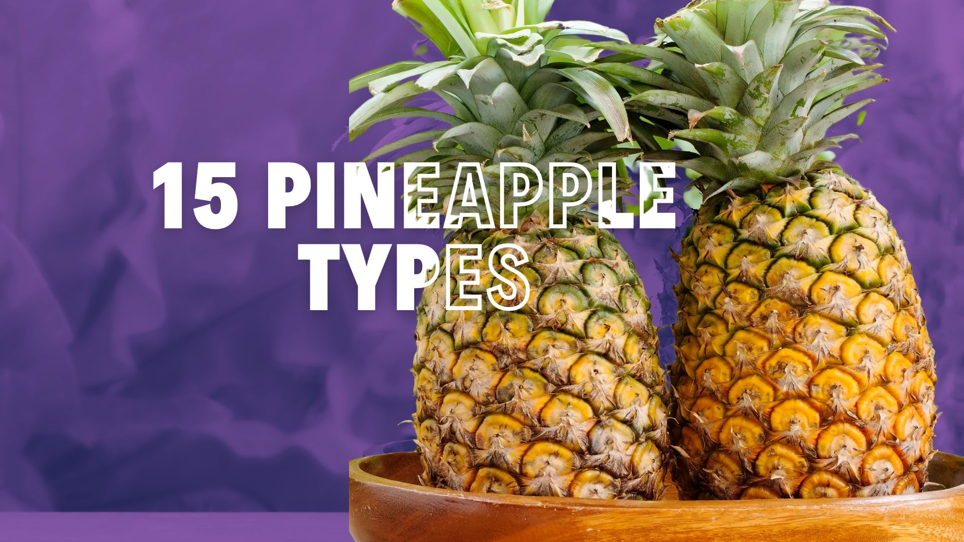 Fascinating Pineapple Types from Around the World