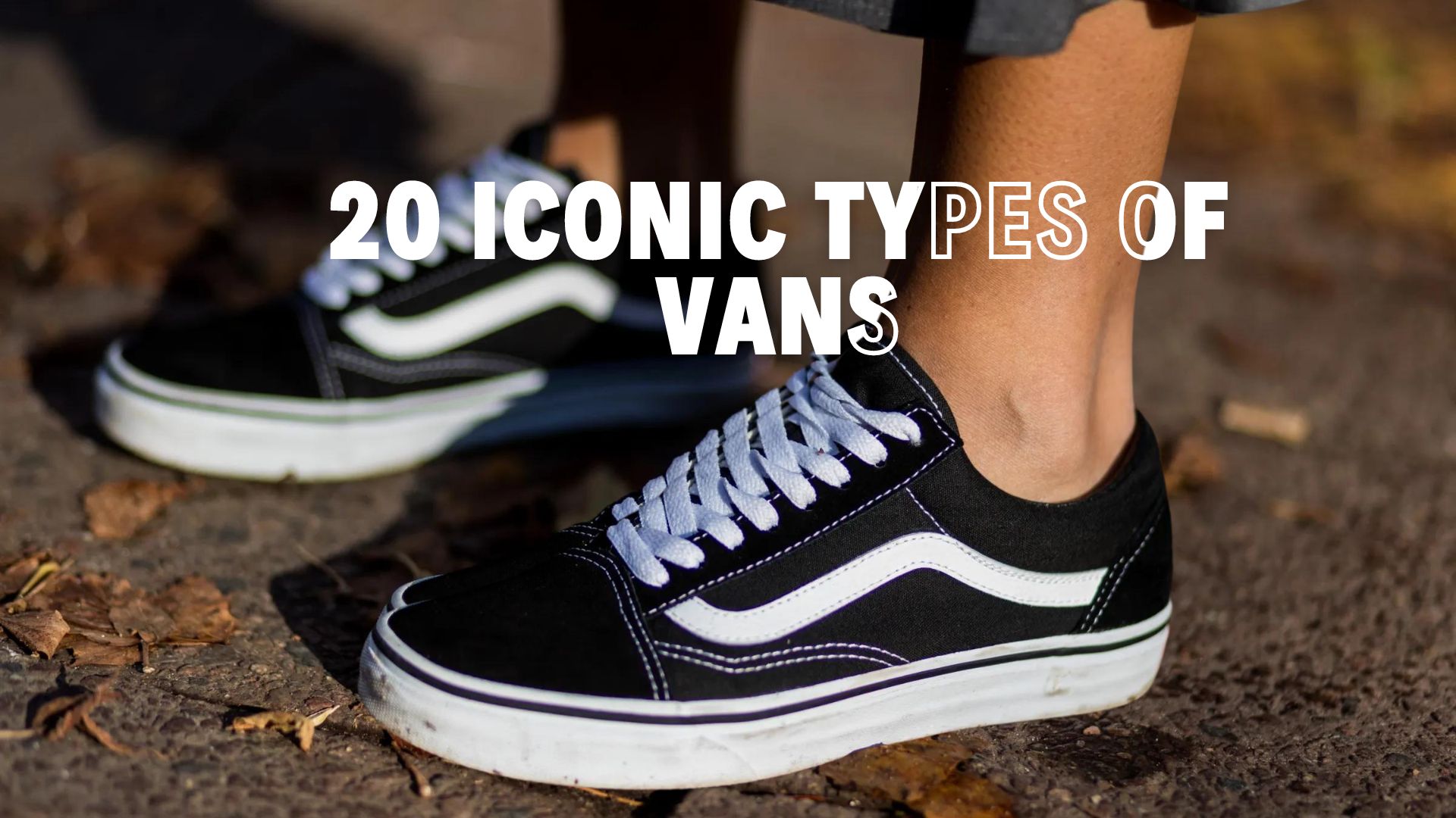 All different types of vans shoes hotsell