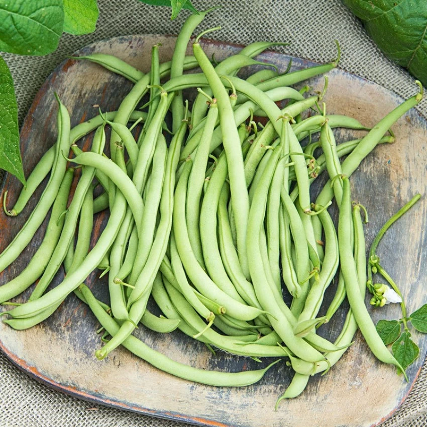 Snap Beans