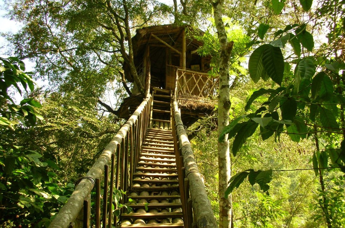 Treehouse