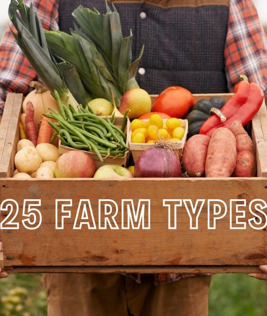 Types of Farms You Should Know About