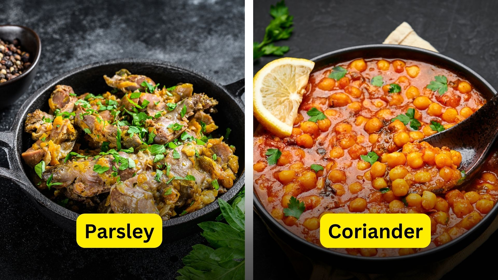 Usage of Parsley and Coriander in Dishes