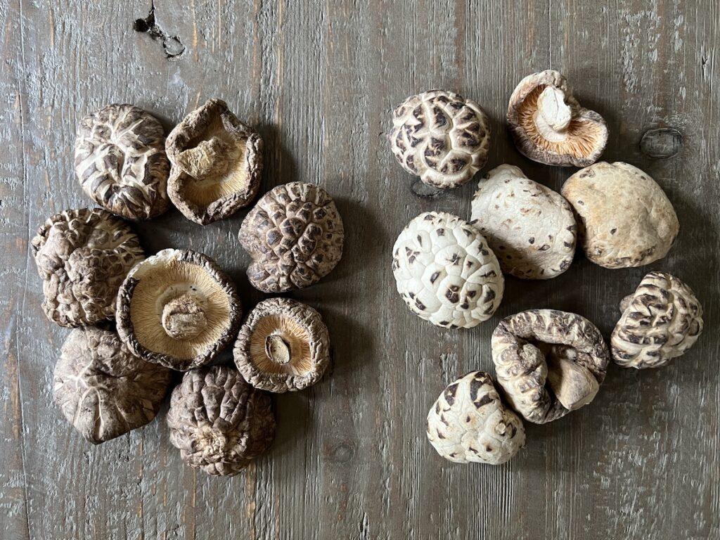 Dried_Shiitake_Mushrooms