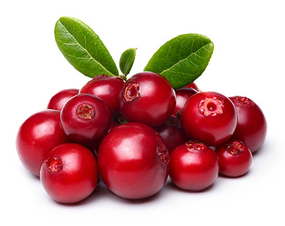 Lingonberry