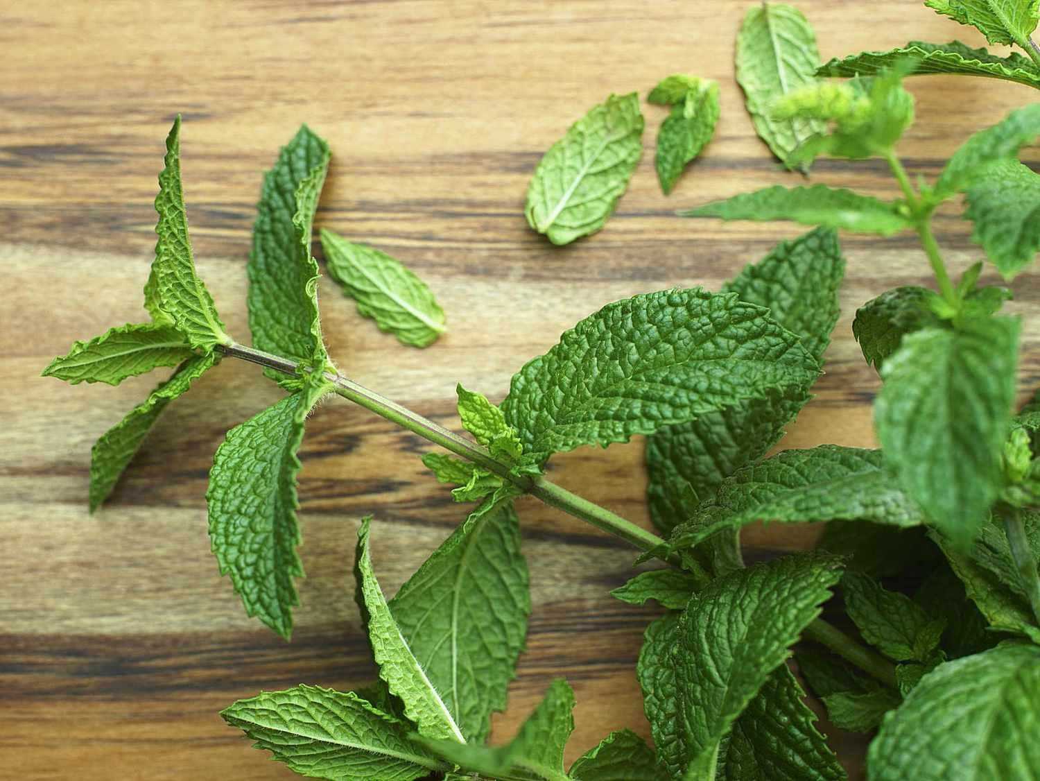 Mint_Leaves