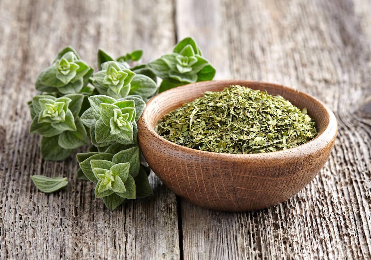 Oregano