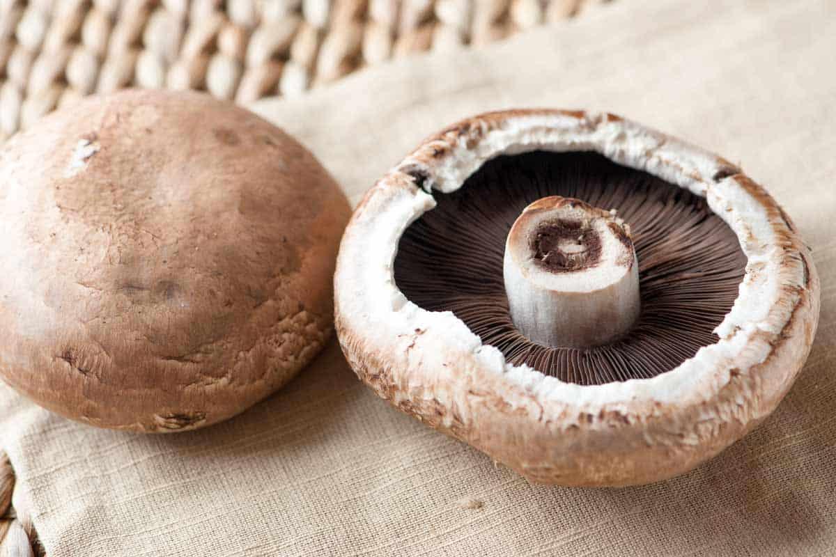 Portobello_Mushrooms