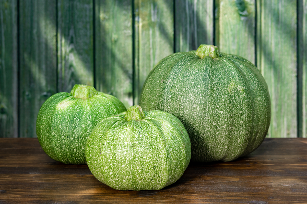 Round Zucchini