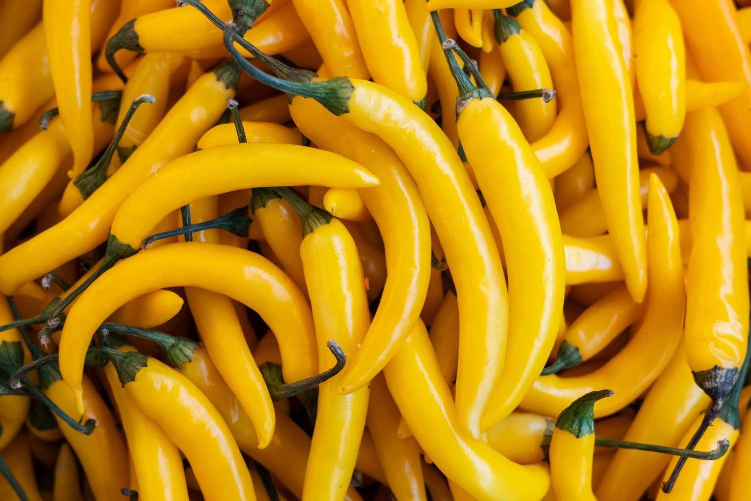 Aji_Amarillo_Pepper