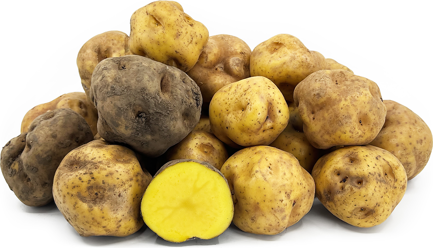 Amarillo_Potatoes