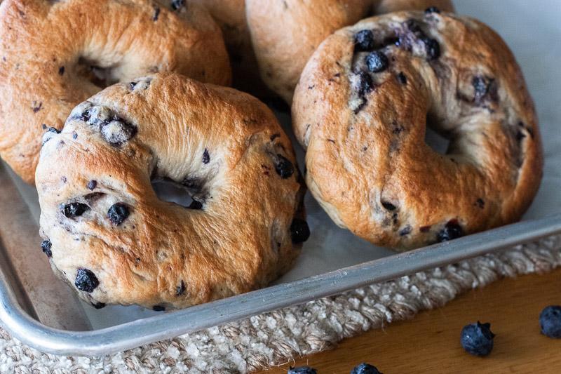 Blueberry_Bagel