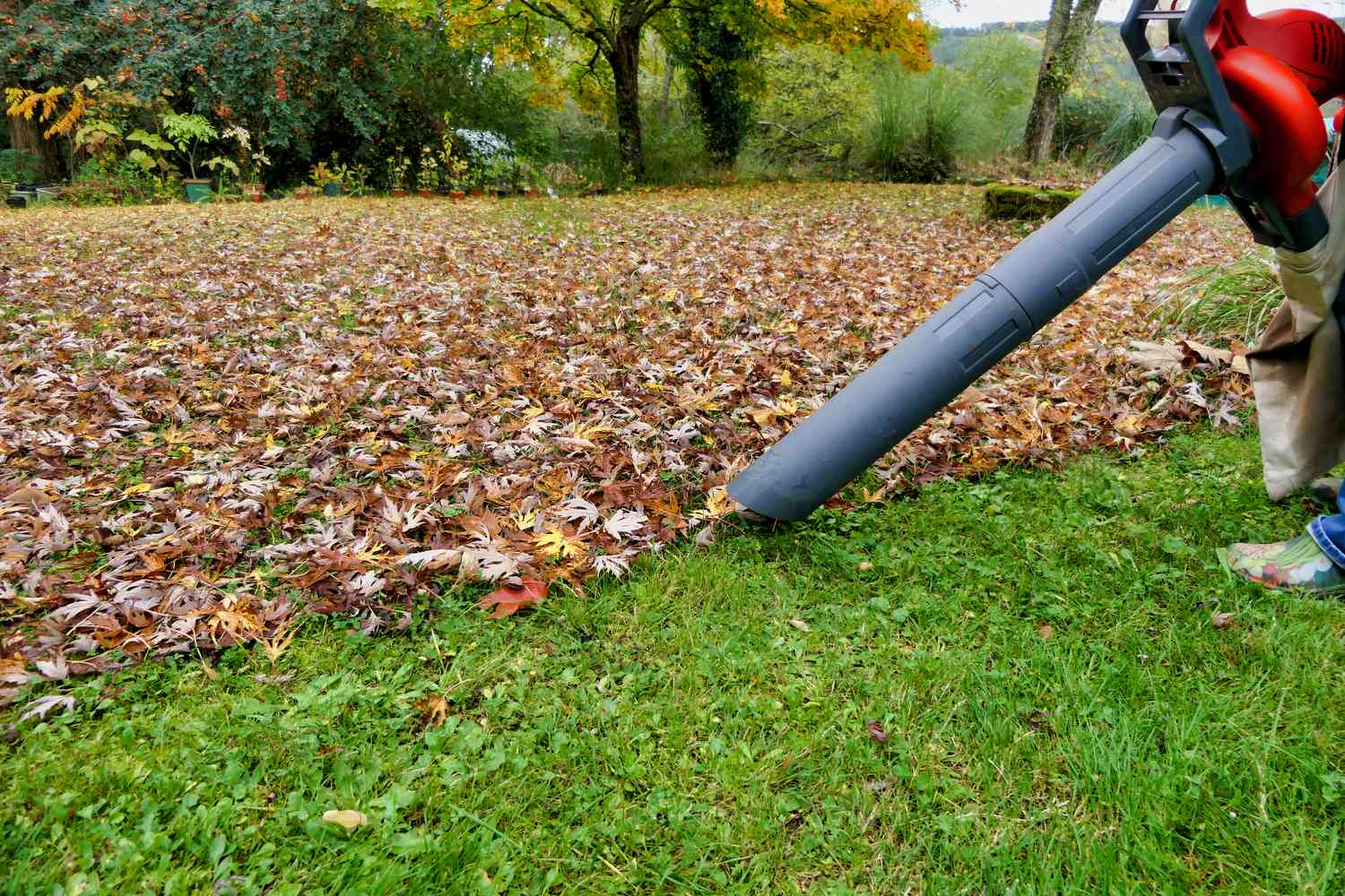 Cleaning Up Leaves and Debris