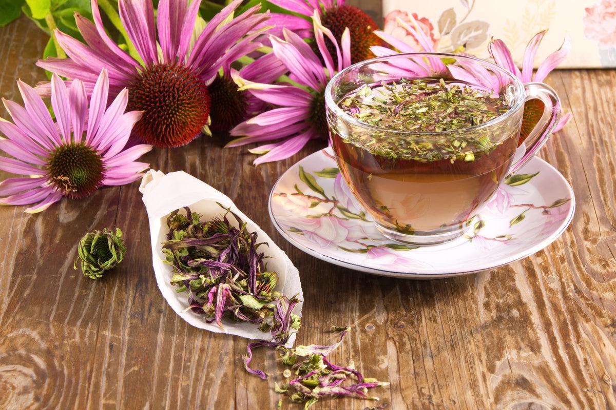 Echinacea_Tea