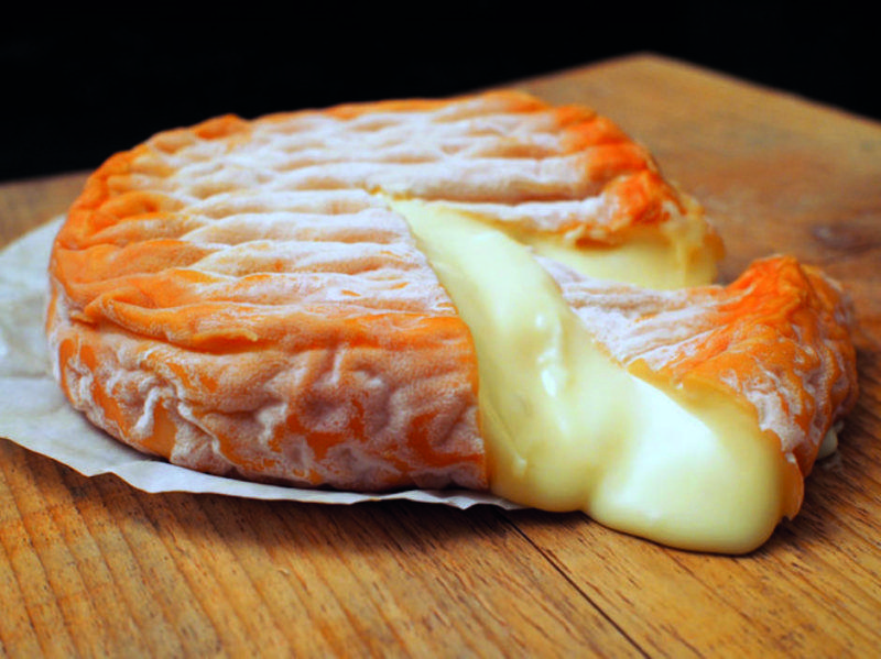 Epoisses_Cheese