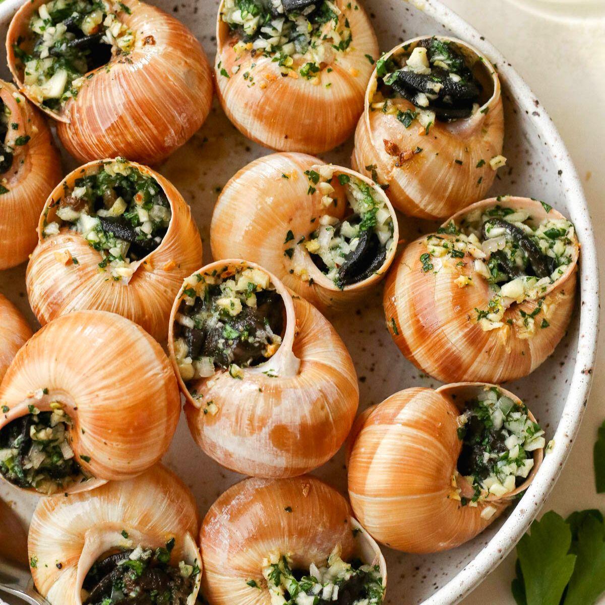 Escargot