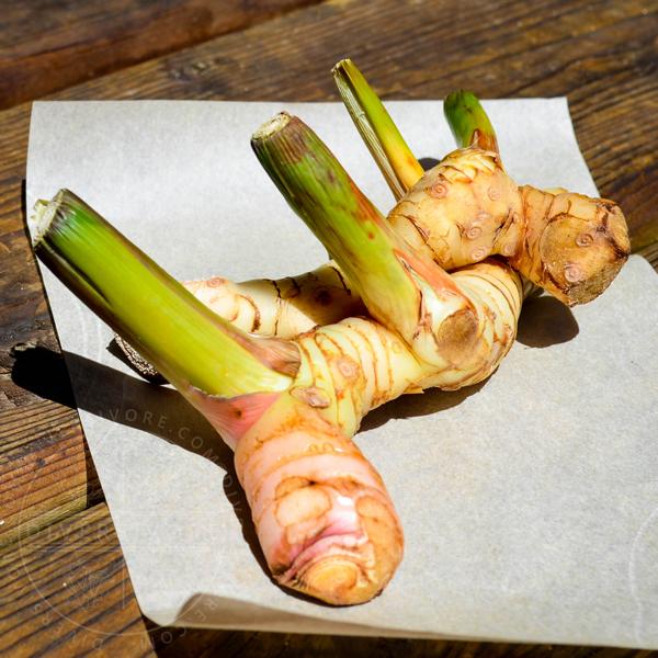 Galangal