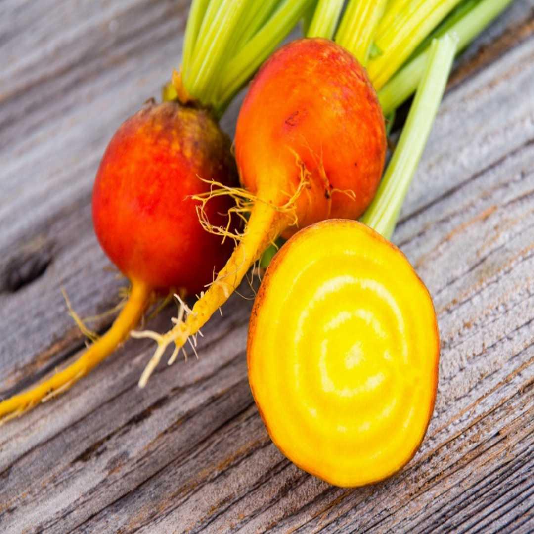 Golden_Beets