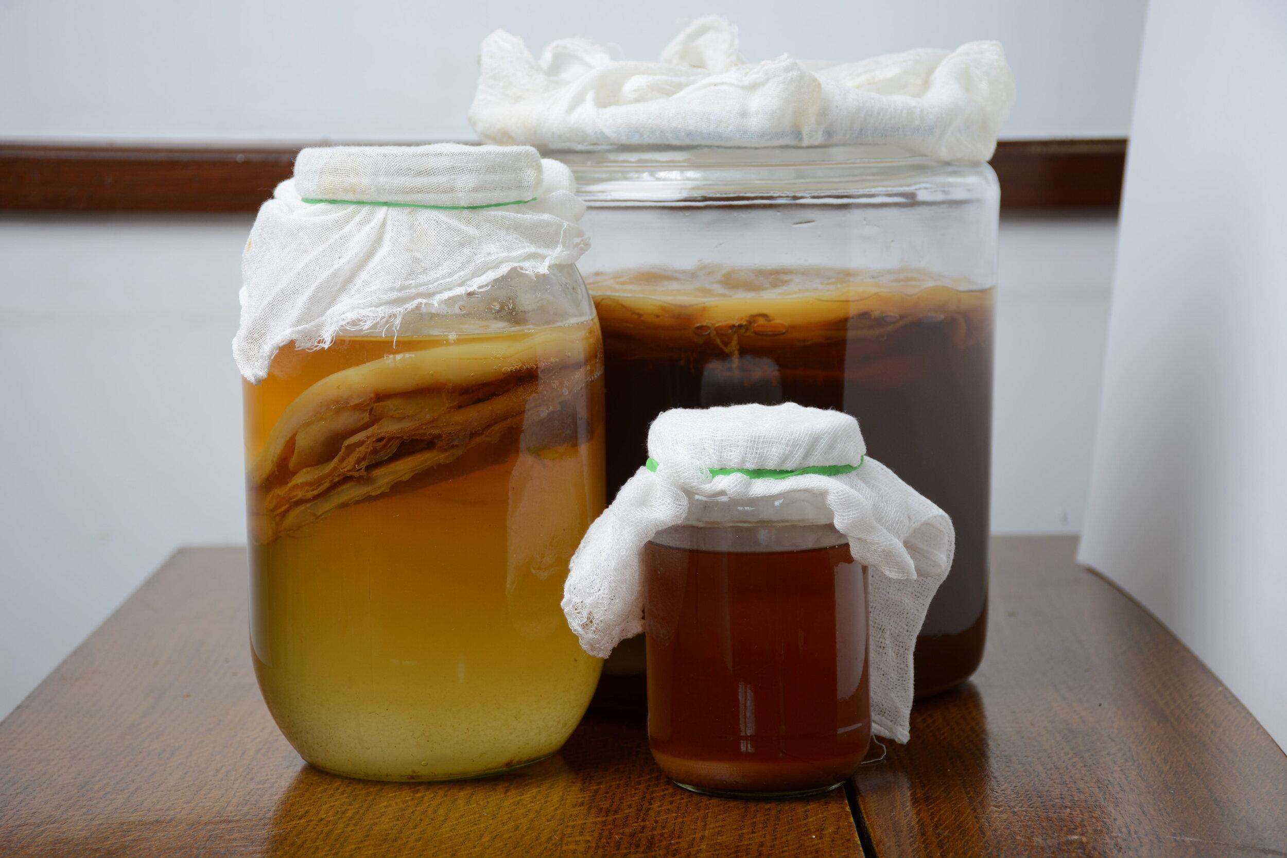 Kombucha