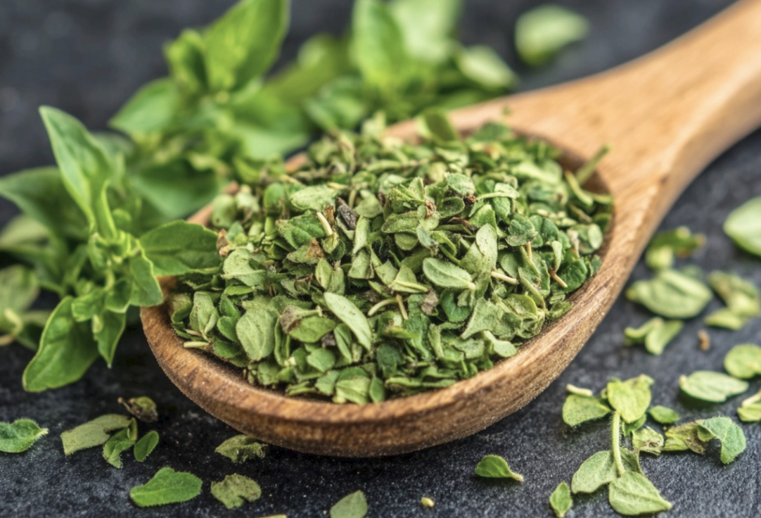 Oregano Alternatives for Flavorful Dishes