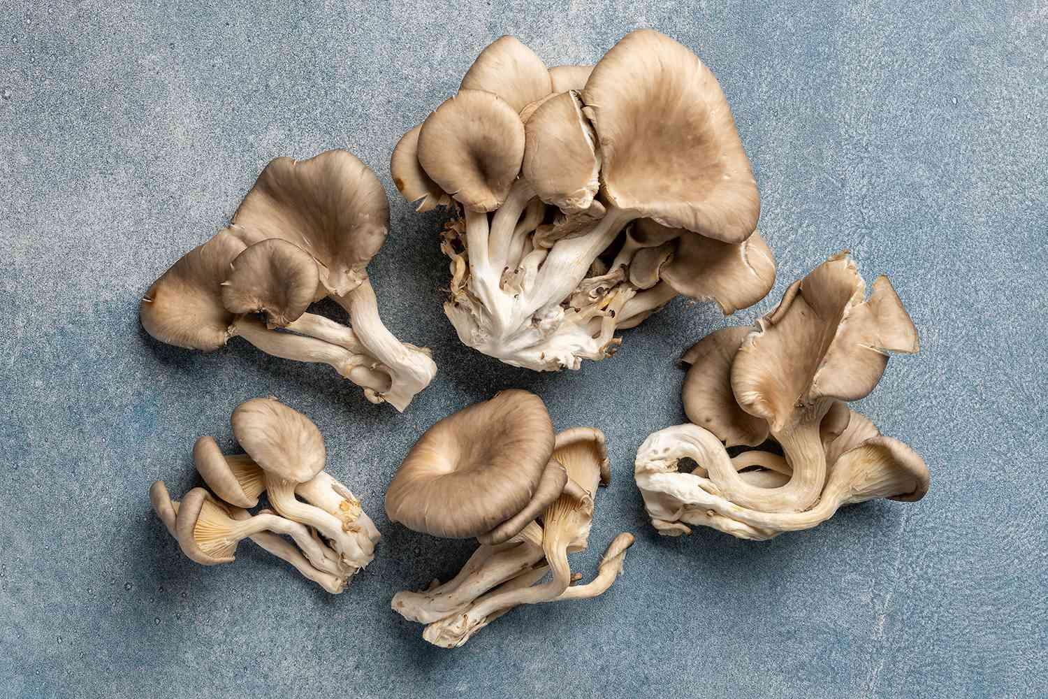 Oyster_Mushrooms