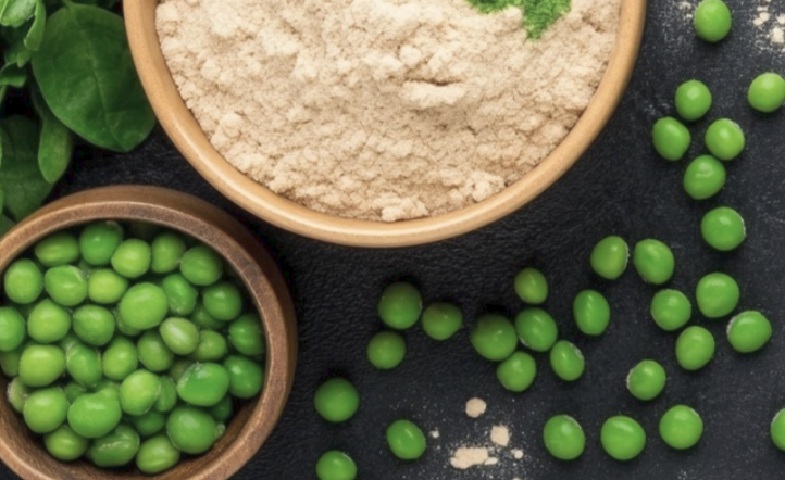 Pea_Protein