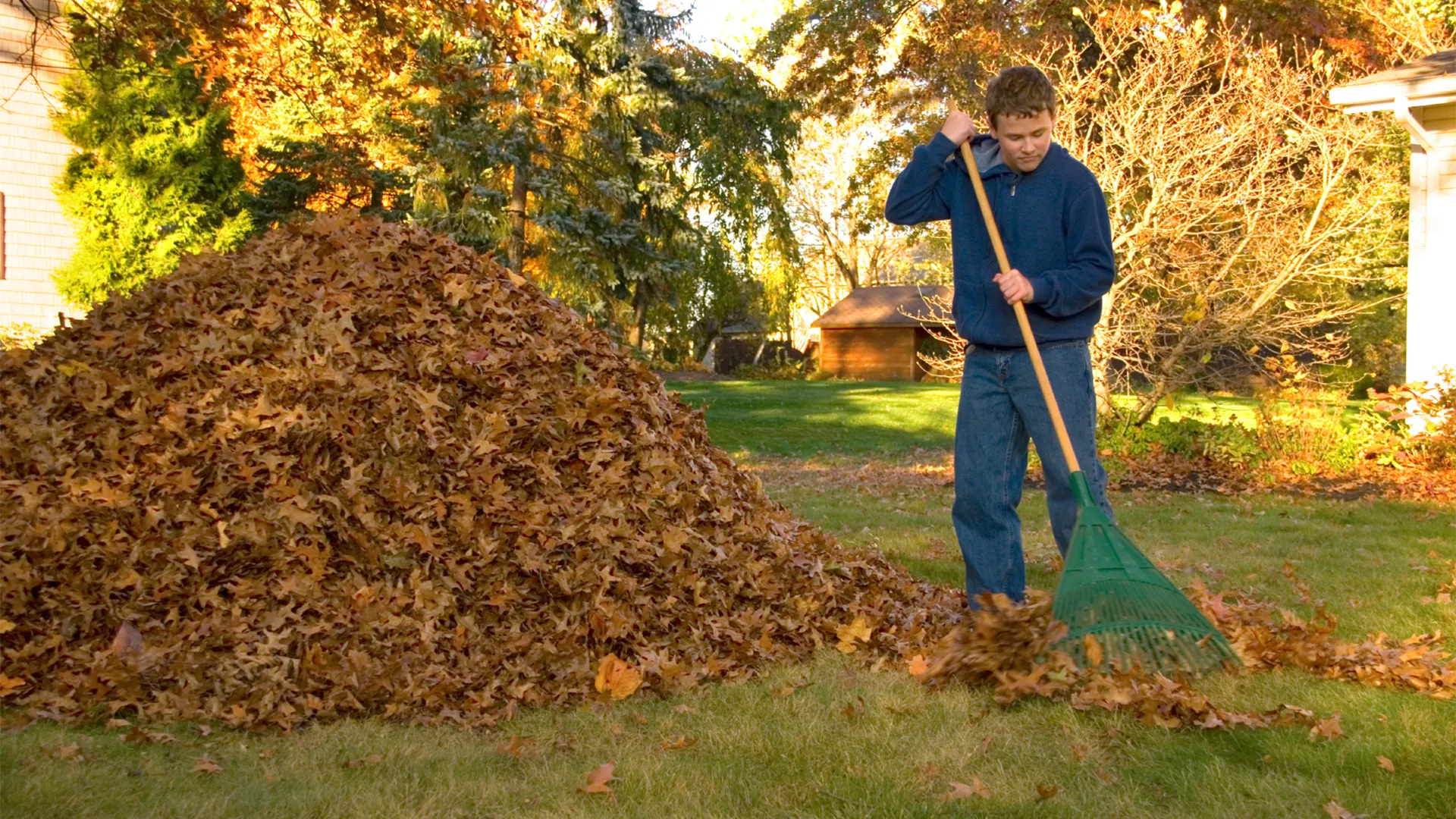 Preparing Your Yard for the Cold Months