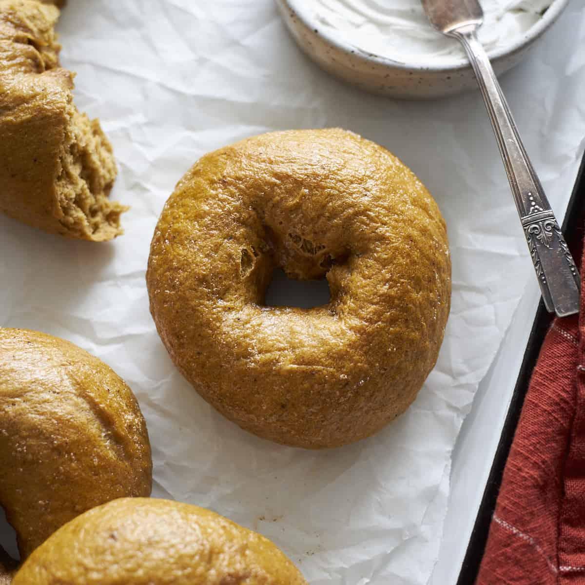 Pumpkin_Bagel