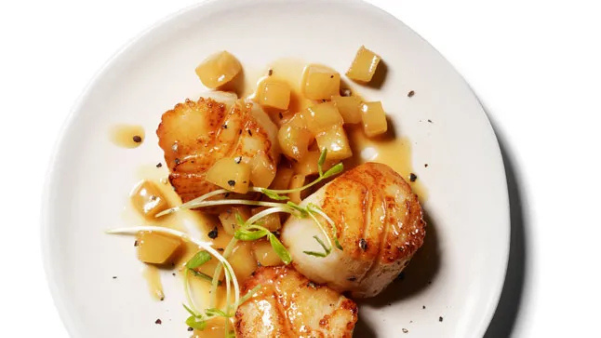 Scallops