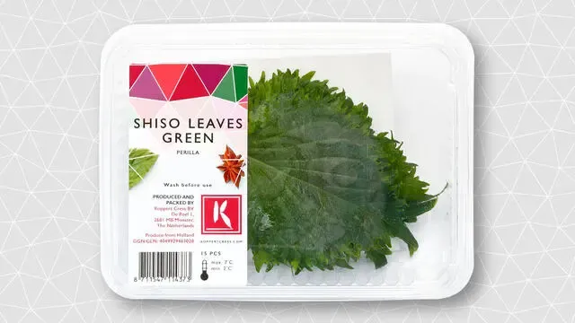 Shiso