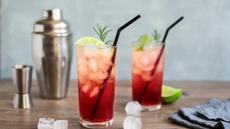 Sloe_Gin_Fizz