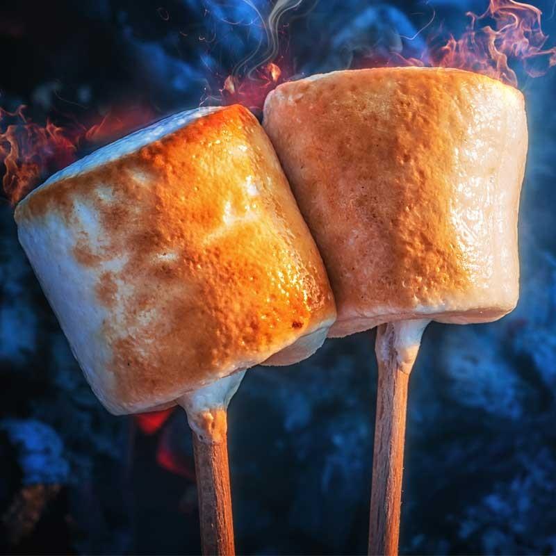 Toasted_Marshmallows