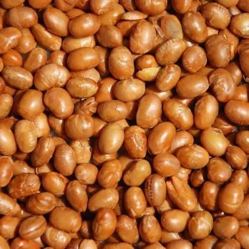 Toasted_Soy_Nuts