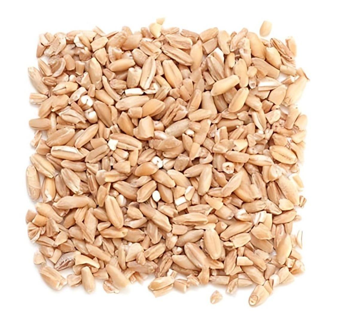 Triticale_Bran