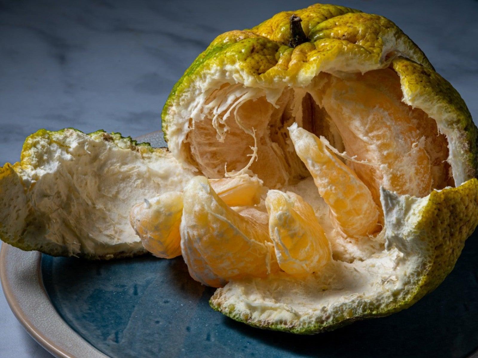 Ugli_Fruit