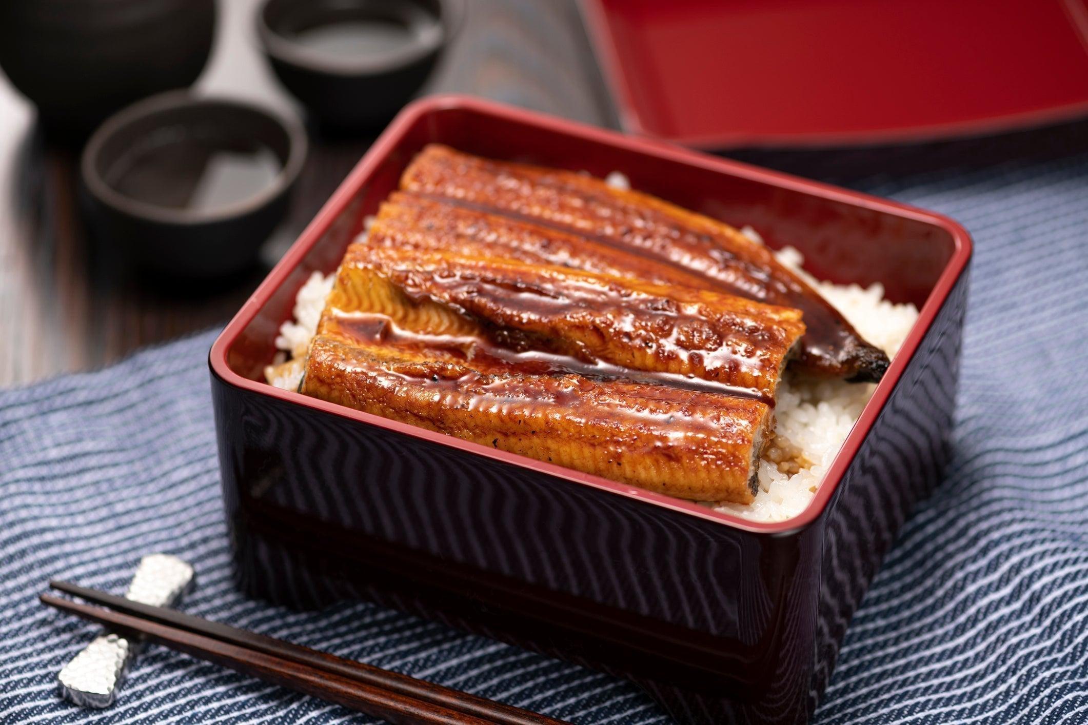 Unagi_Eel