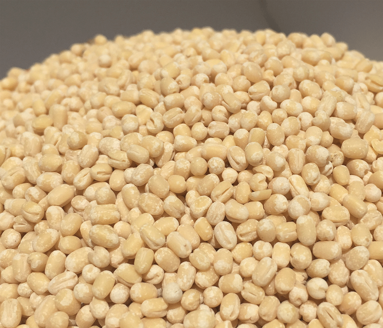 Urad_Dal