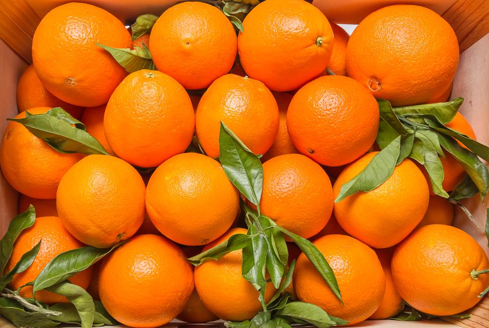 Valencia_Orange