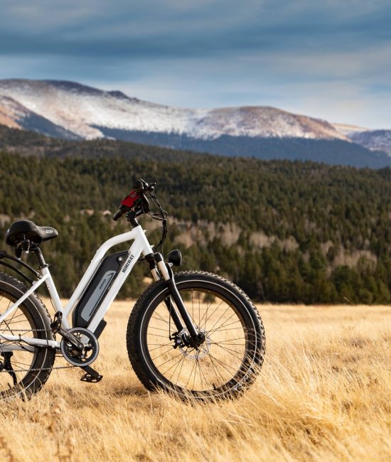 Is It Worth Getting an Electric Bike?