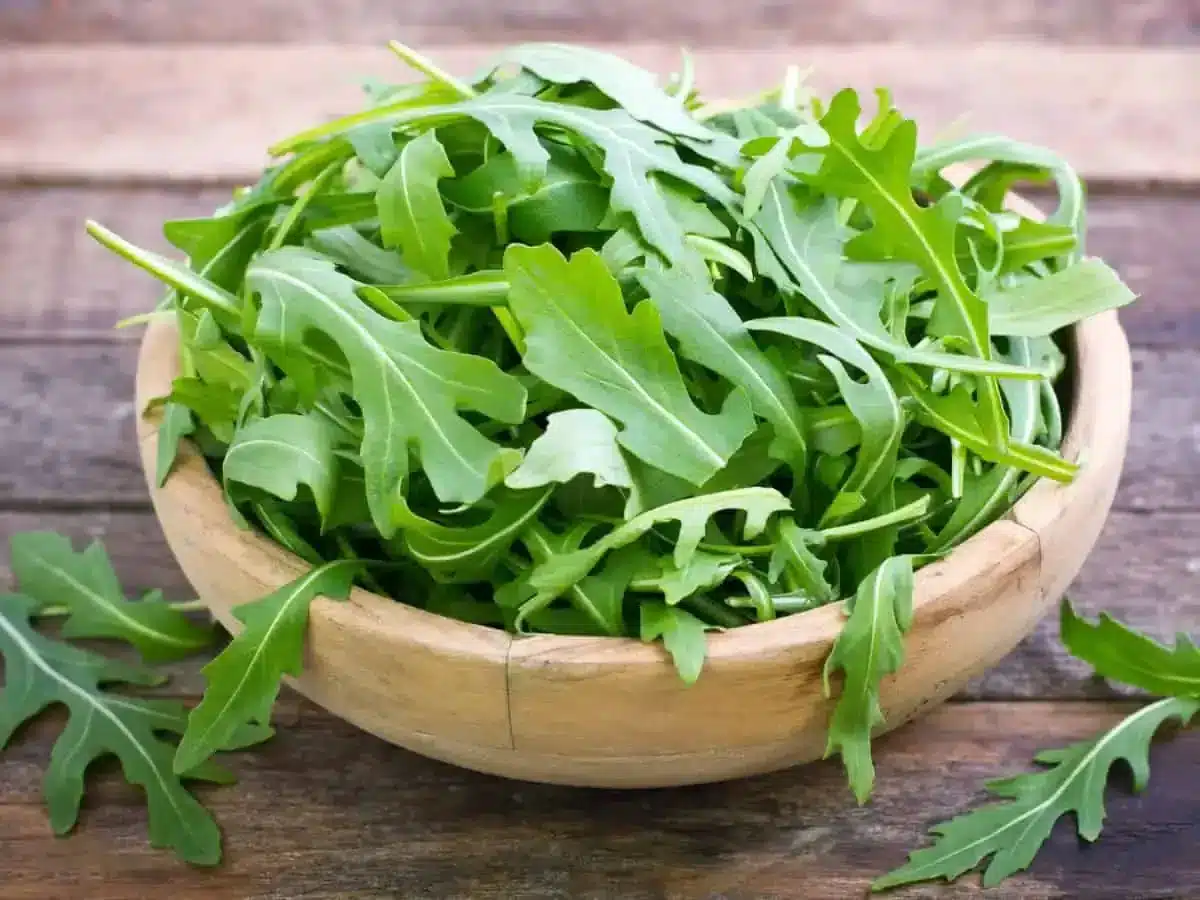 Rocket_Arugula