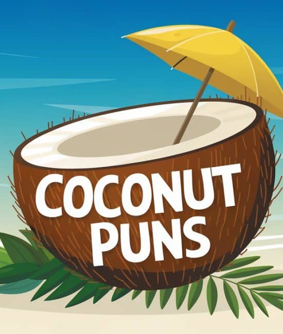 coconut puns