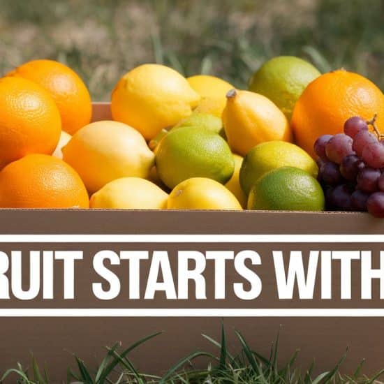 fruit with t