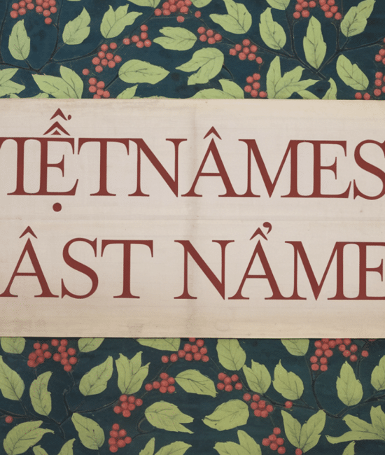 133 Vietnamese Last Names and Their Origins