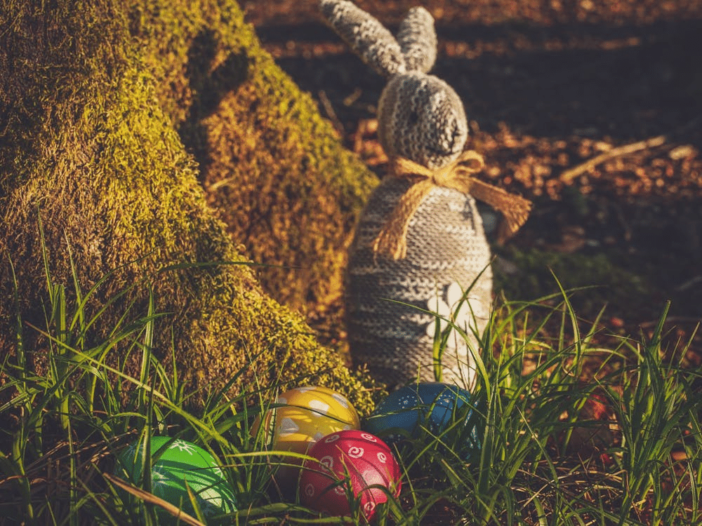 How to Host an Unforgettable Easter Egg Hunt