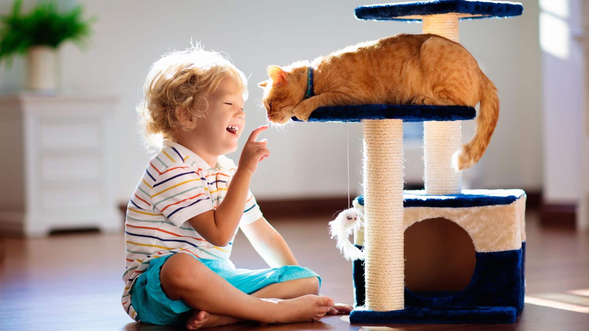 Renovation Survival Guide – What to Do with Kids and Pets When Construction Takes Over