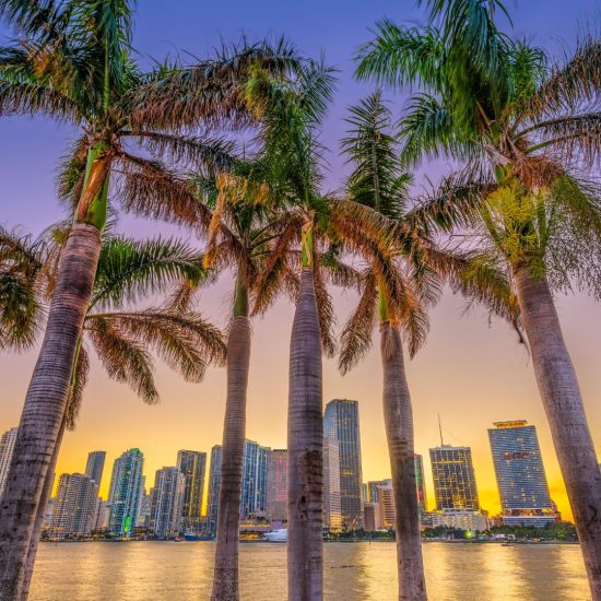 Things to Know Before Relocating to Miami